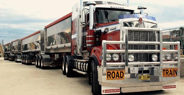 зачем кенгурятник